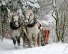 Operatorii din turismul european cer autorităților să suspende „măsurile de carantină ineficiente” și să dea drumul sezonului de iarnă.