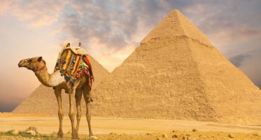 Autoritățile din Egipt tocmai au anunțat că, începând din 15 august, pentru cetăţenii străini care se deplasează în acolo este necesar un test negativ christian tour reaia cursele către egipt